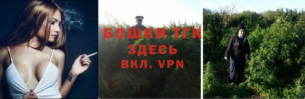 шишки Арсеньев