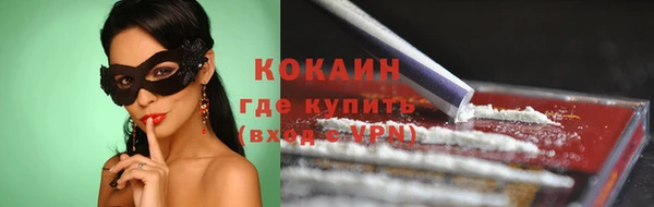 шишки Арсеньев
