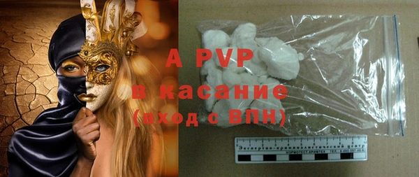 шишки Арсеньев